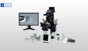 What Is ICSI IVF? Understanding the Process, Benefits, and Success Rates