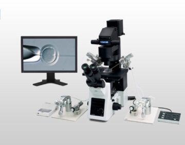 What Is ICSI IVF? Understanding the Process, Benefits, and Success Rates