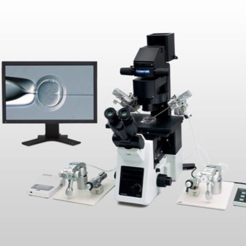 What Is ICSI IVF? Understanding the Process, Benefits, and Success Rates
